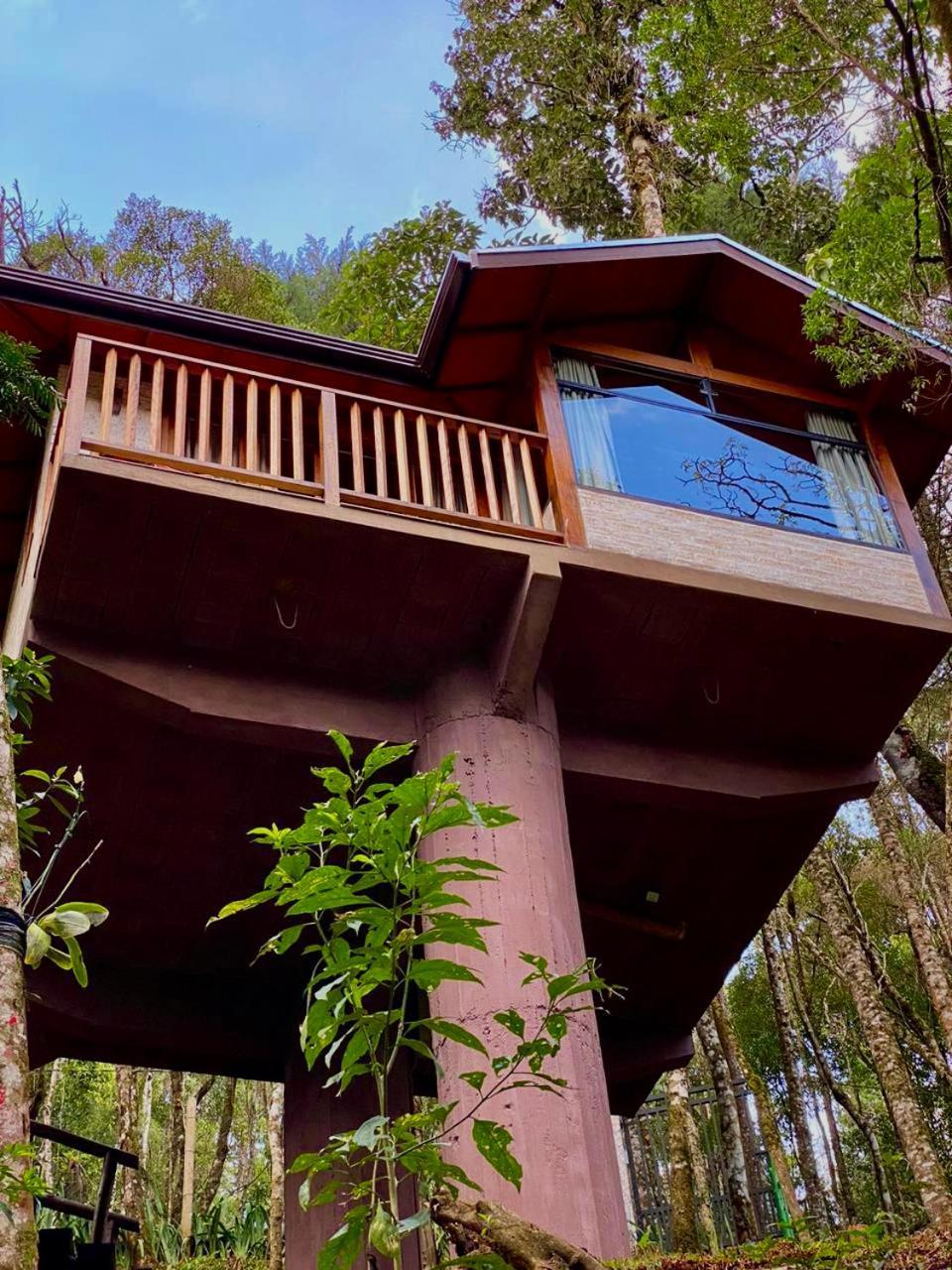 Mushrooms Ecovillage Monte Verde  Exterior photo